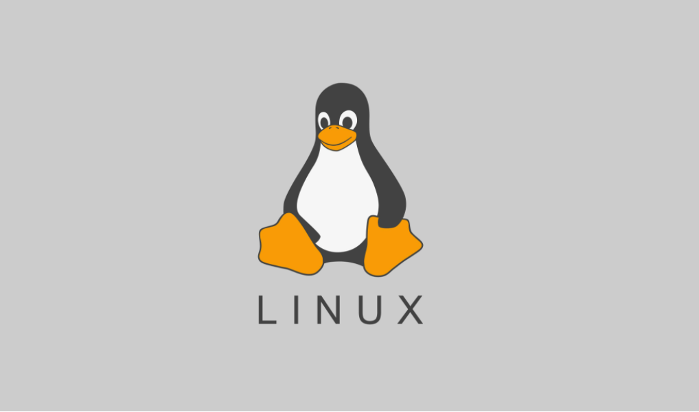 Linux的最基础常用操作命令